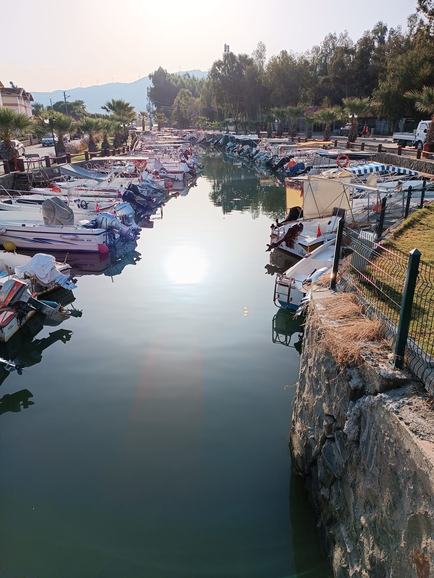 Sevgi Plajı Kooperatifi - Liman Aktiviteleri